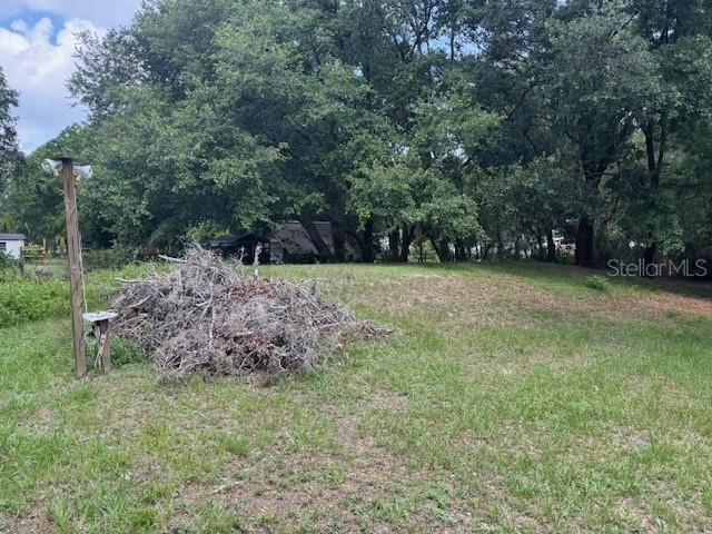6721 Coronet Road Lakeland, FL 33811 - Photo 42 of 63 a view of a grassy field with trees in the background