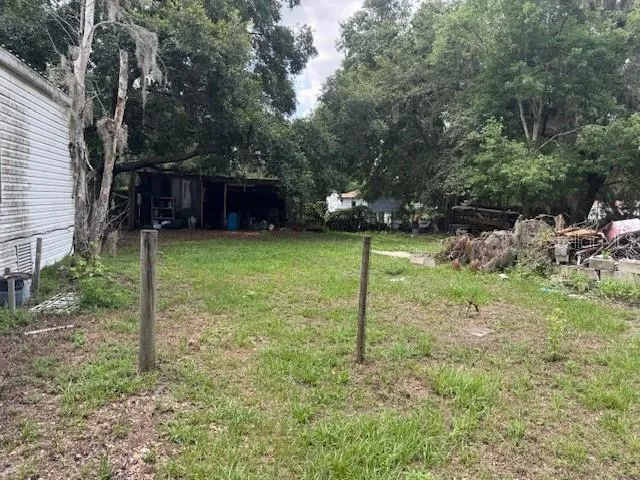 a backyard of a house with plants and large tree