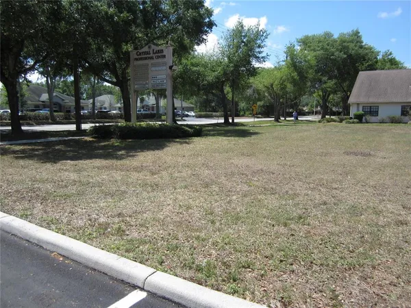 $300,000 | 209 Crystal Grove Boulevard, Lutz, FL 33548