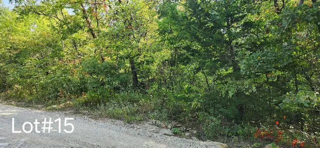 $12,000 | 7515 Springcove Road, Lacygne, KS 66040