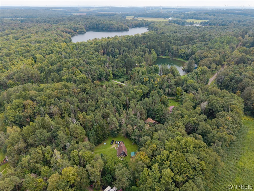 2834 Pee Dee Road, Unit 4 Wethersfield, NY 14024 - Photo 15 of 41 Drone View