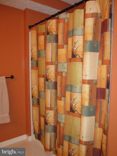 4723 Shellbark Road, Unit 4723 Owings Mills, MD 21117 - Photo 26 of 30 Tub/Shower combo