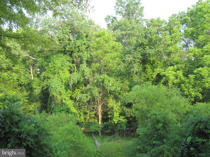 4723 Shellbark Road, Unit 4723 Owings Mills, MD 21117 - Photo 29 of 30 View from Balcony