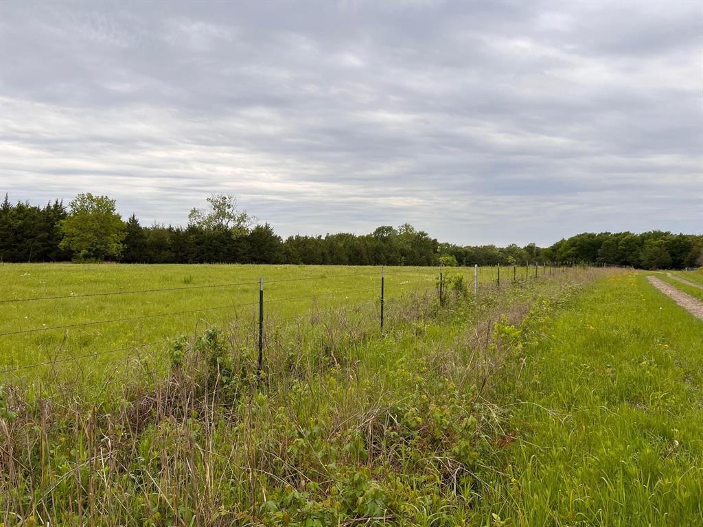 24200 County Road Roxton, TX 75477 - Photo 12 of 23