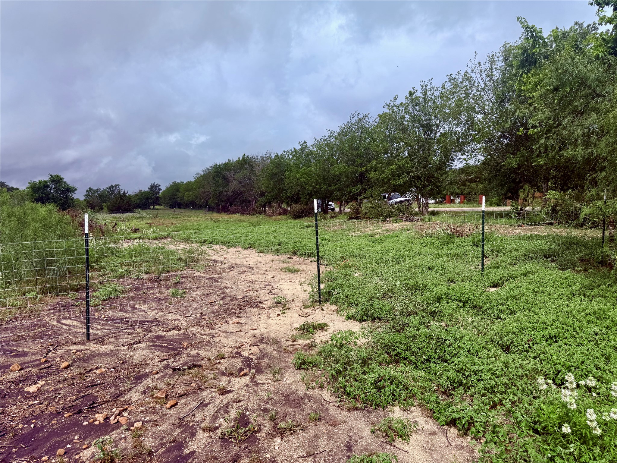 0 Engelke Road Kyle, TX 78640 - Photo 8 of 16 Cultivated grounds, embraced by mature trees, offer a private, peaceful retreat.