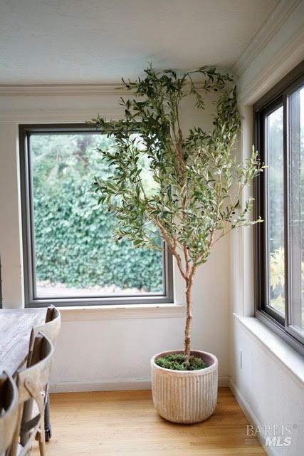 2925 Carissa Court Santa Rosa, CA 95405 - Photo 29 of 39