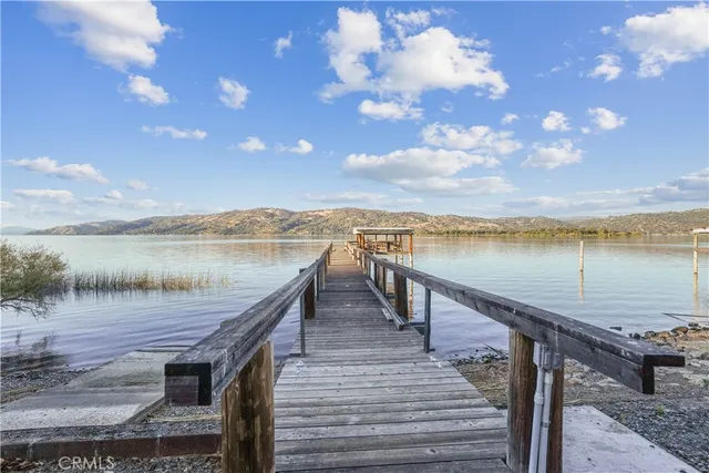 a picture of flowers