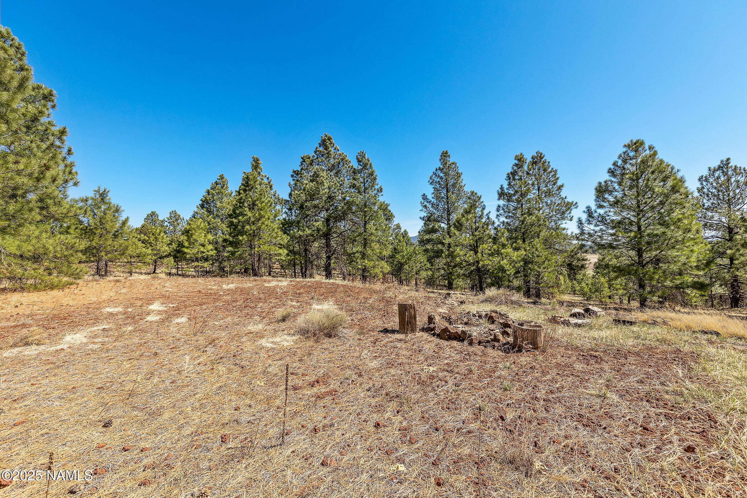 747 North Davenport Lk Road Williams, AZ 86046 - Photo 6 of 24 a view of dirt field with trees in the background