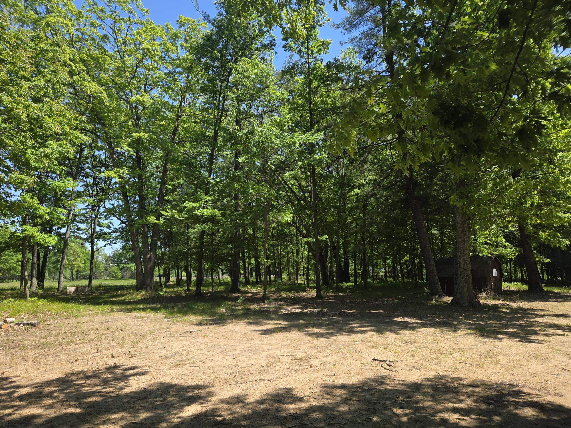 5172 West Pickard Road Mount Pleasant, MI 48858 - Photo 22 of 23