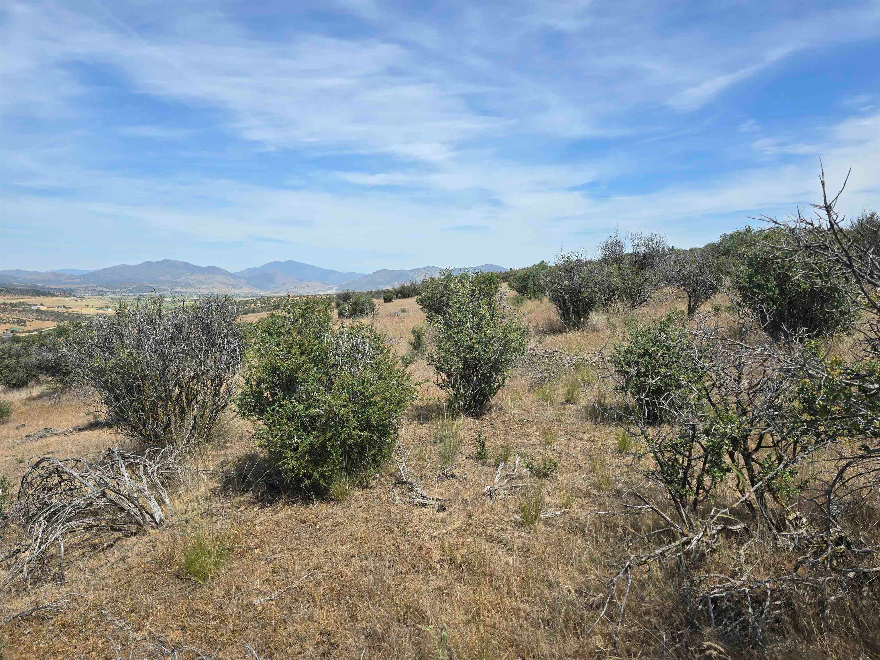 0 High Road Montague, CA 96064 - Photo 2 of 12 Gallery Image 2
