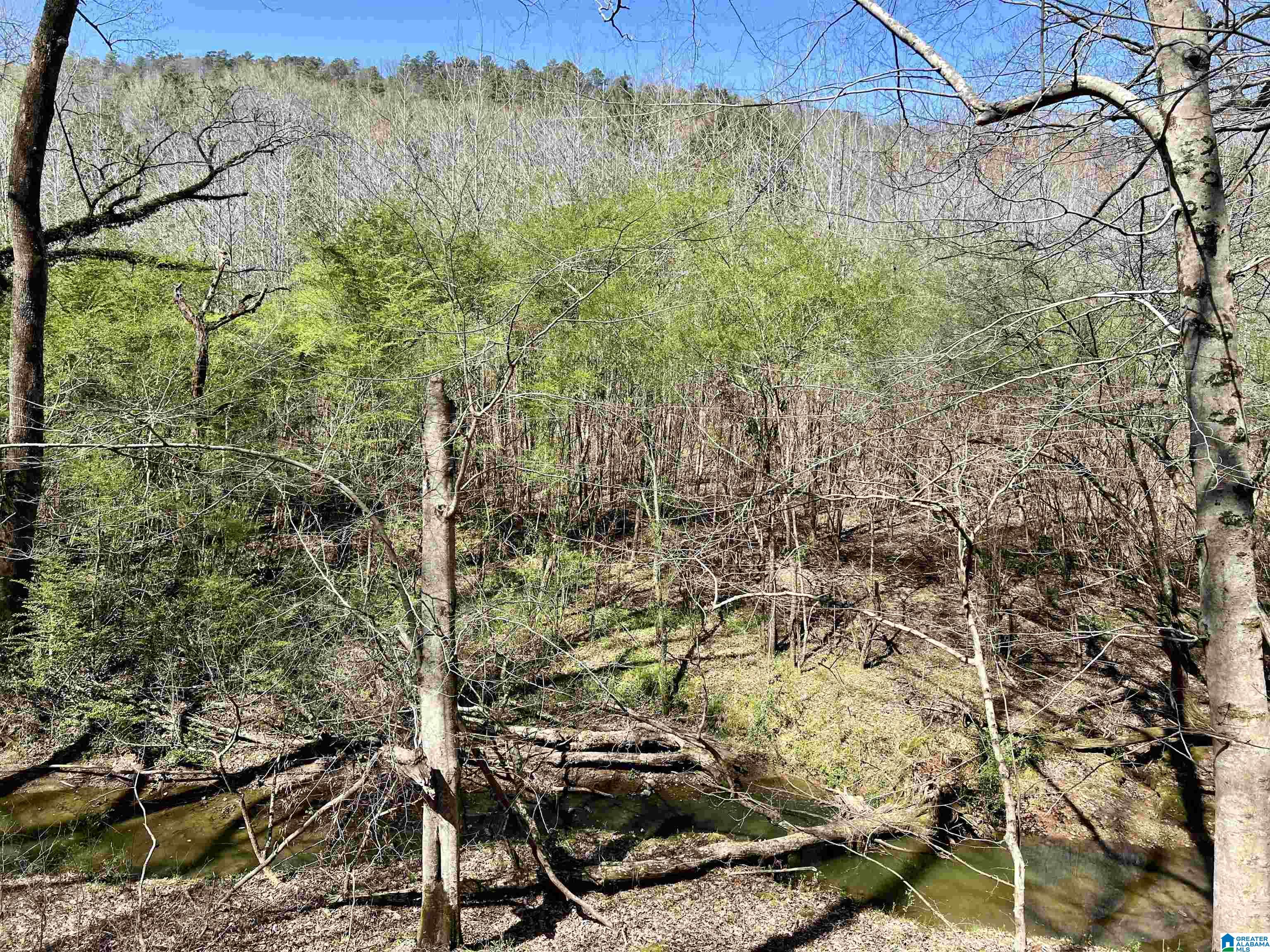 6478 Red Hollow Road, Unit 240 Birmingham, AL 35215 - Photo 3 of 38