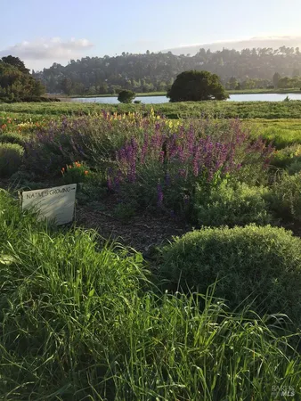 $559,000 | 538 Seaver Drive, Mill Valley, CA 94941