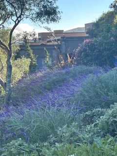 a view of a backyard of the house