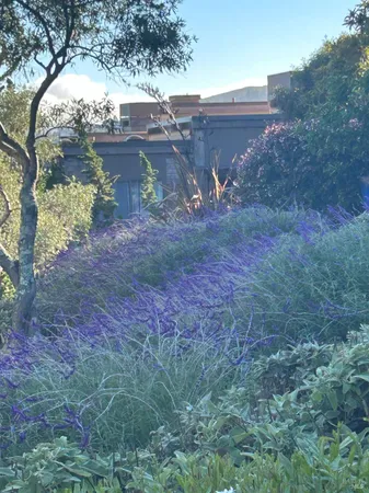 $559,000 | 538 Seaver Drive, Mill Valley, CA 94941