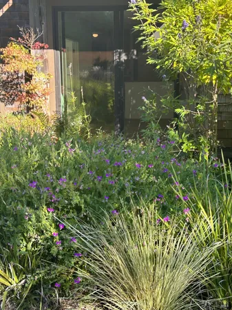 $559,000 | 538 Seaver Drive, Mill Valley, CA 94941