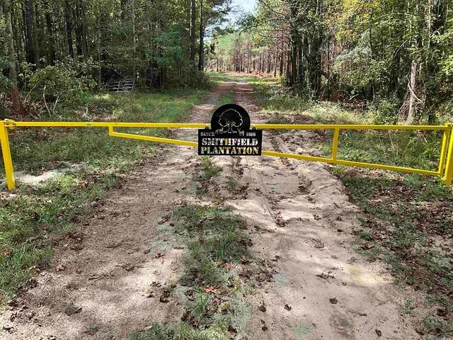 $378,000 | Tbd Aloha Drive, Marion, SC 29571