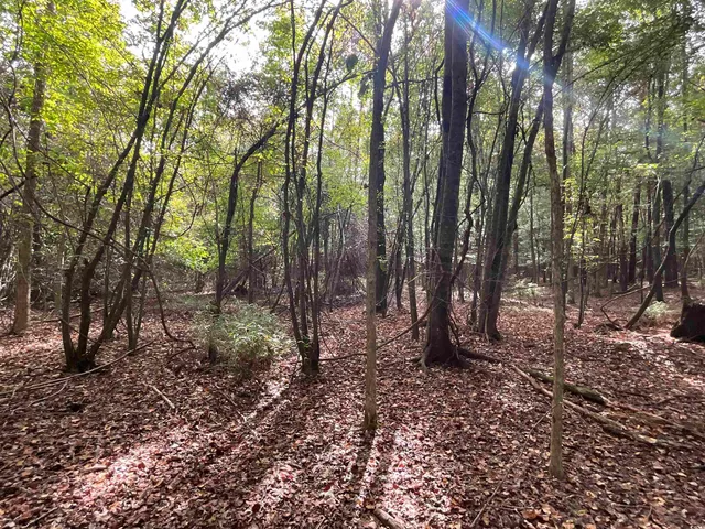 $378,000 | Tbd Aloha Drive, Marion, SC 29571