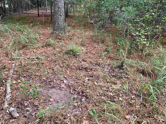$378,000 | Tbd Aloha Drive, Marion, SC 29571