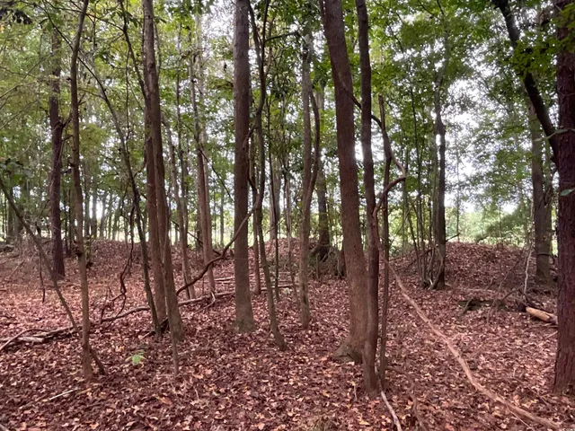 $378,000 | Tbd Aloha Drive, Marion, SC 29571