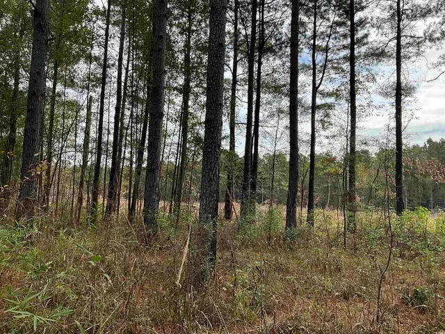 $378,000 | Tbd Aloha Drive, Marion, SC 29571