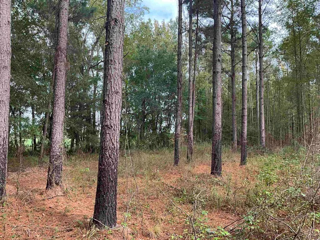 $378,000 | Tbd Aloha Drive, Marion, SC 29571