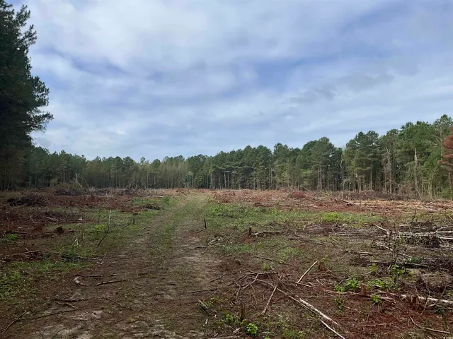 $378,000 | Tbd Aloha Drive, Marion, SC 29571