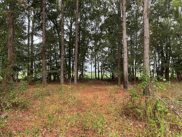 $378,000 | Tbd Aloha Drive, Marion, SC 29571