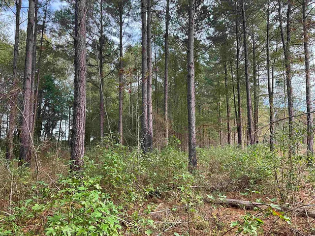 $378,000 | Tbd Aloha Drive, Marion, SC 29571