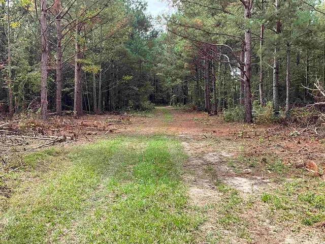 $378,000 | Tbd Aloha Drive, Marion, SC 29571