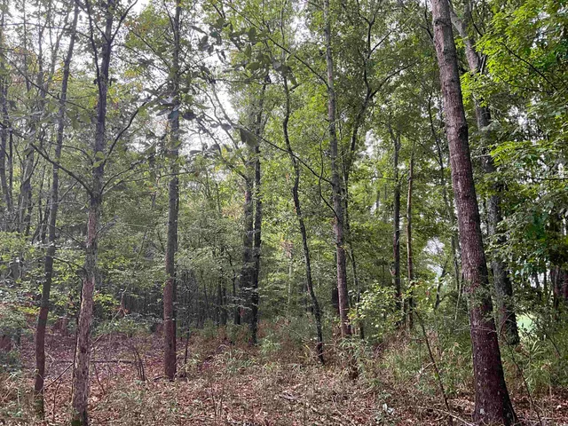 $378,000 | Tbd Aloha Drive, Marion, SC 29571