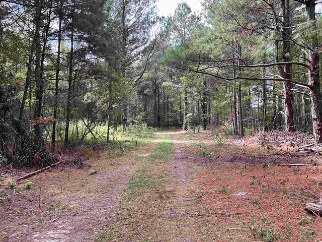 $378,000 | Tbd Aloha Drive, Marion, SC 29571