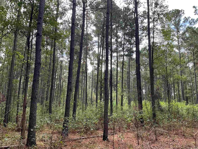 $378,000 | Tbd Aloha Drive, Marion, SC 29571