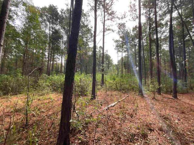 $378,000 | Tbd Aloha Drive, Marion, SC 29571