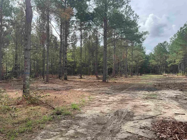 $378,000 | Tbd Aloha Drive, Marion, SC 29571
