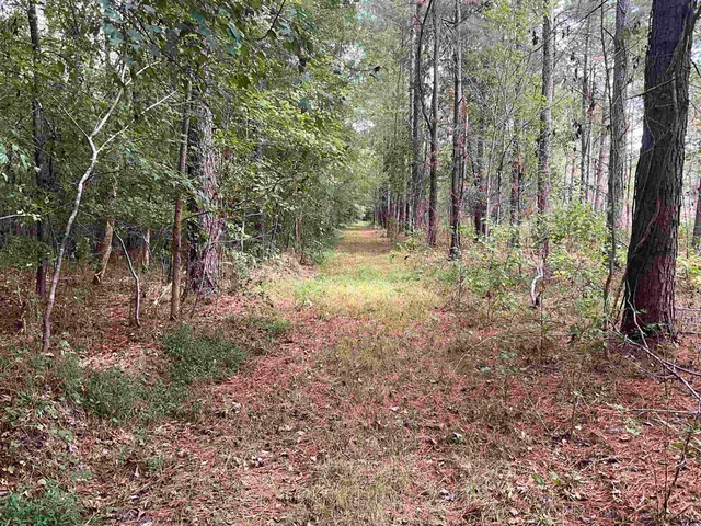 $378,000 | Tbd Aloha Drive, Marion, SC 29571