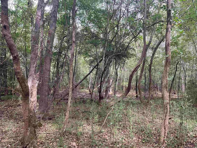 $378,000 | Tbd Aloha Drive, Marion, SC 29571