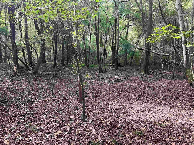 $378,000 | Tbd Aloha Drive, Marion, SC 29571