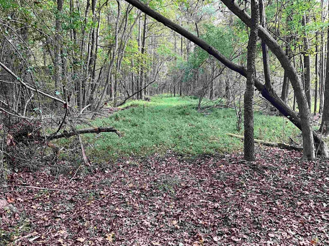 $378,000 | Tbd Aloha Drive, Marion, SC 29571