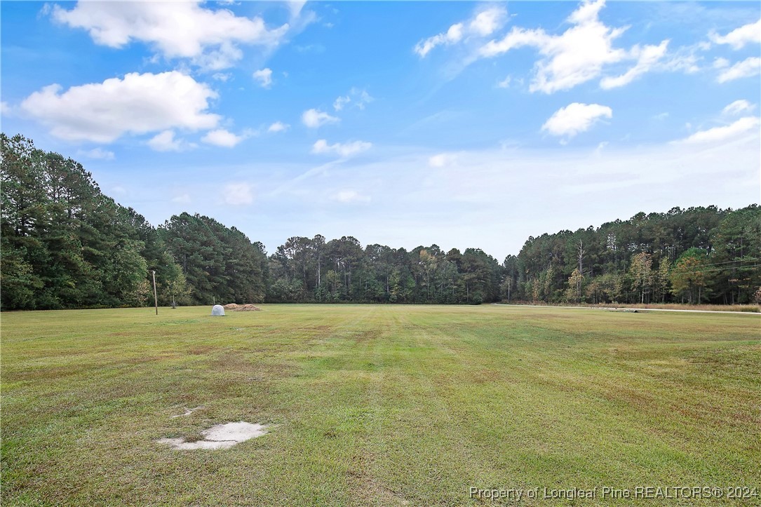 1649 Carl Freeman Road Stedman, NC 28391 - Photo 48 of 50
