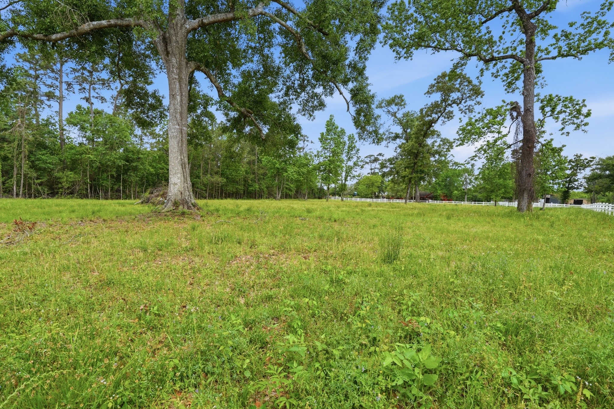 10240 Post Oak Drive Conroe, TX 77385 - Photo 38 of 46 a view of outdoor space with trees all around