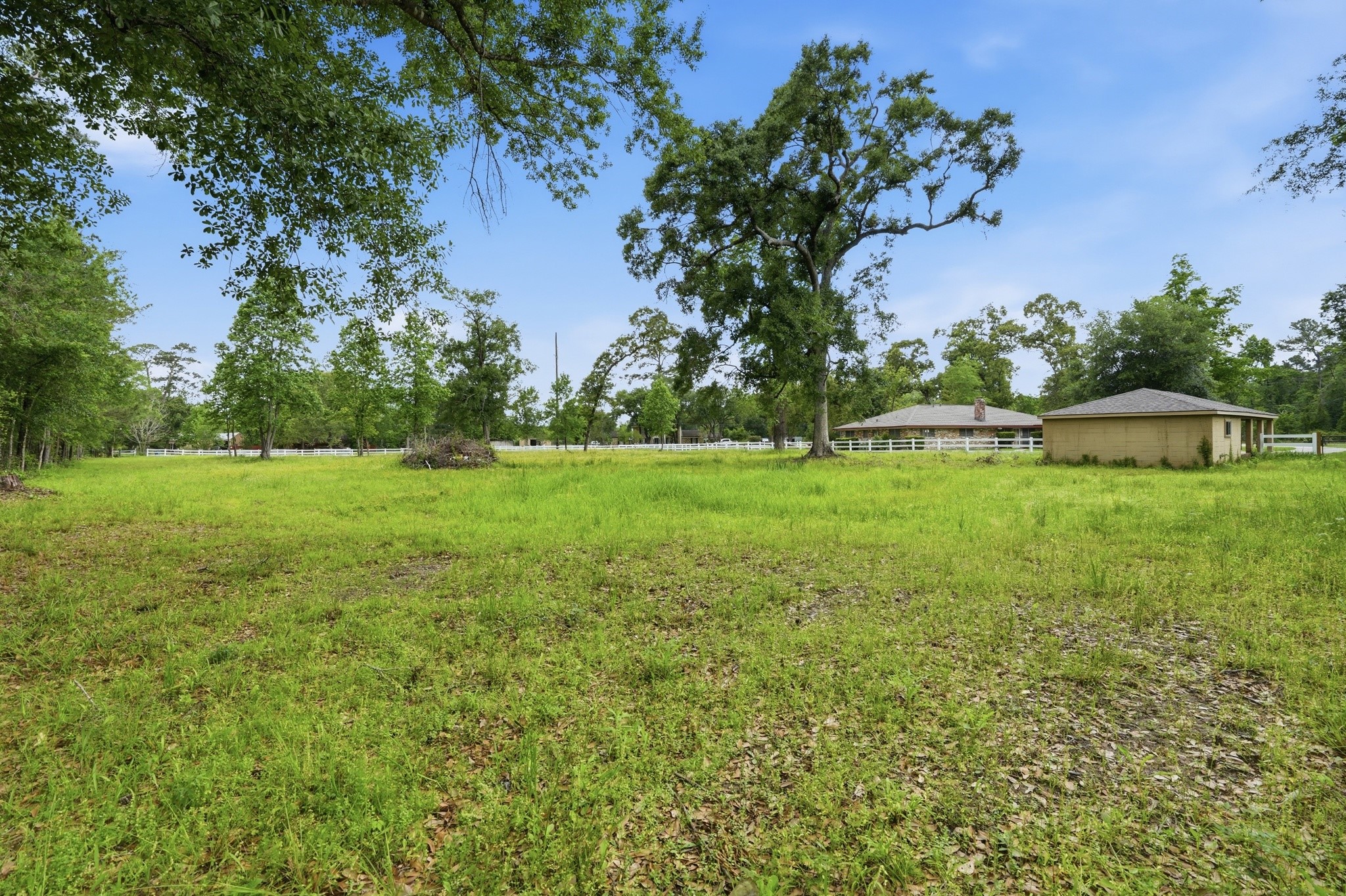 10240 Post Oak Drive Conroe, TX 77385 - Photo 39 of 46 a backyard of a house with lots of green space