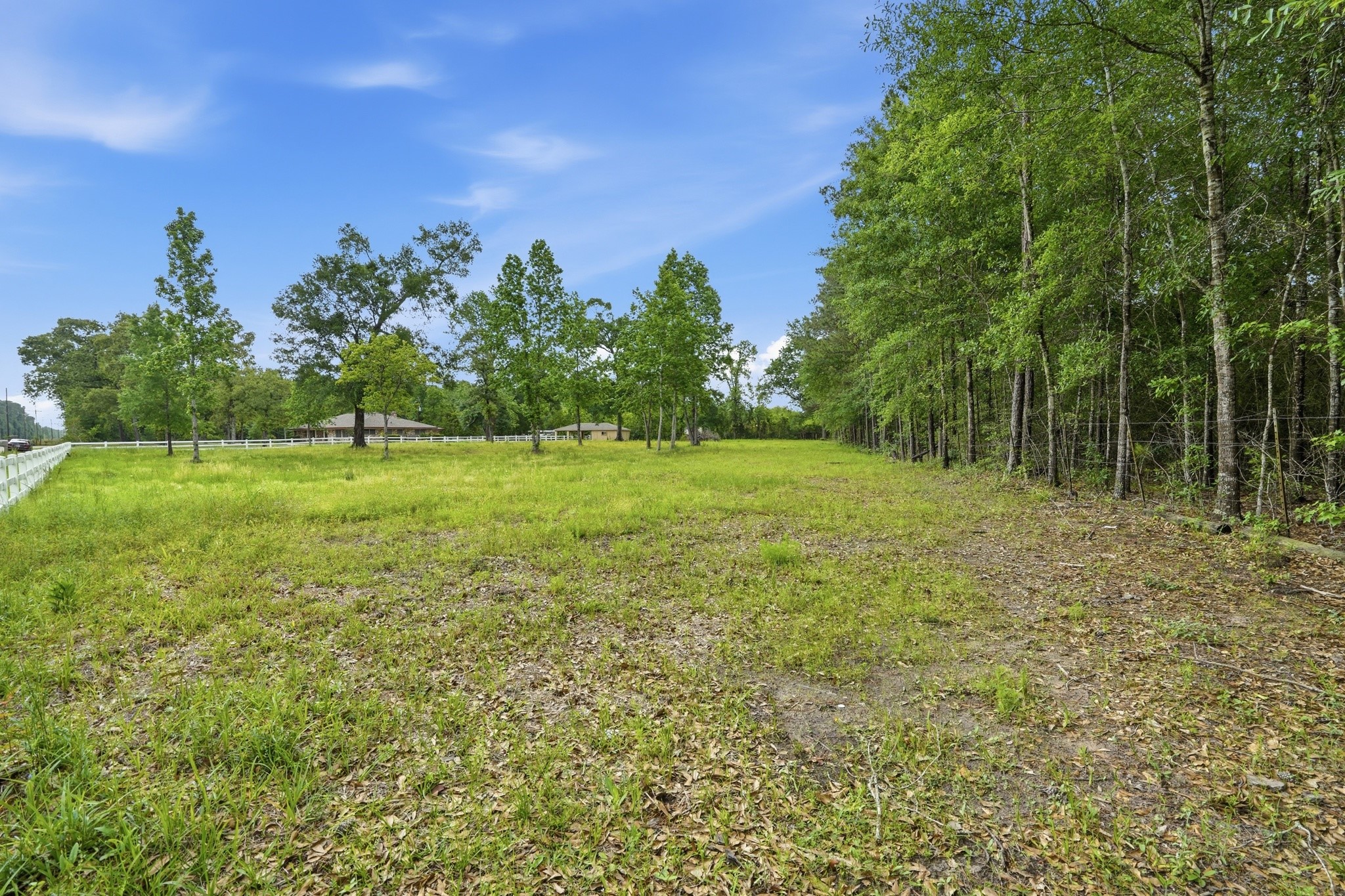 10240 Post Oak Drive Conroe, TX 77385 - Photo 40 of 46 a view of a green field with trees in the background