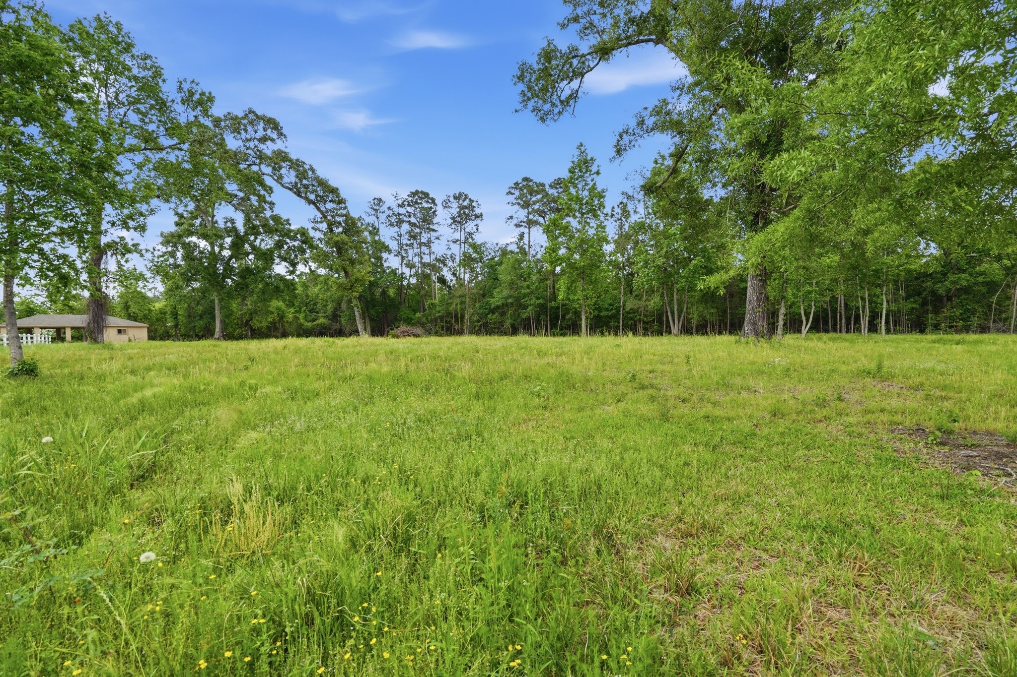 10240 Post Oak Drive Conroe, TX 77385 - Photo 41 of 46 a view of an outdoor space with a lake view