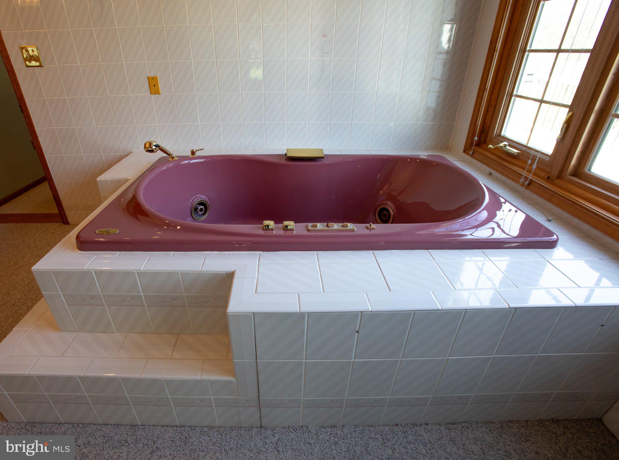 42 Eleanor Drive Spring City, PA 19475 - Photo 38 of 59