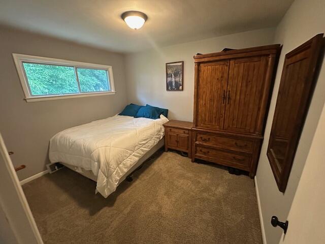 55441 Buckhorn Road Three Rivers, MI 49093 - Photo 15 of 20 IMG_4625