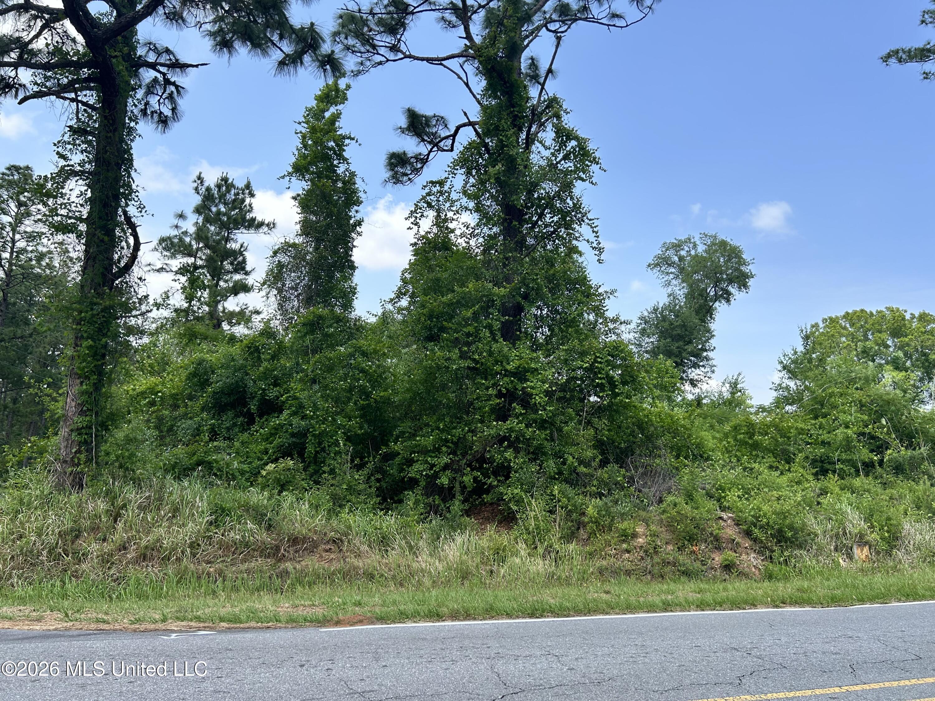 Basin School Road Lucedale, MS 39452 - Photo 11 of 15 IMG_0374