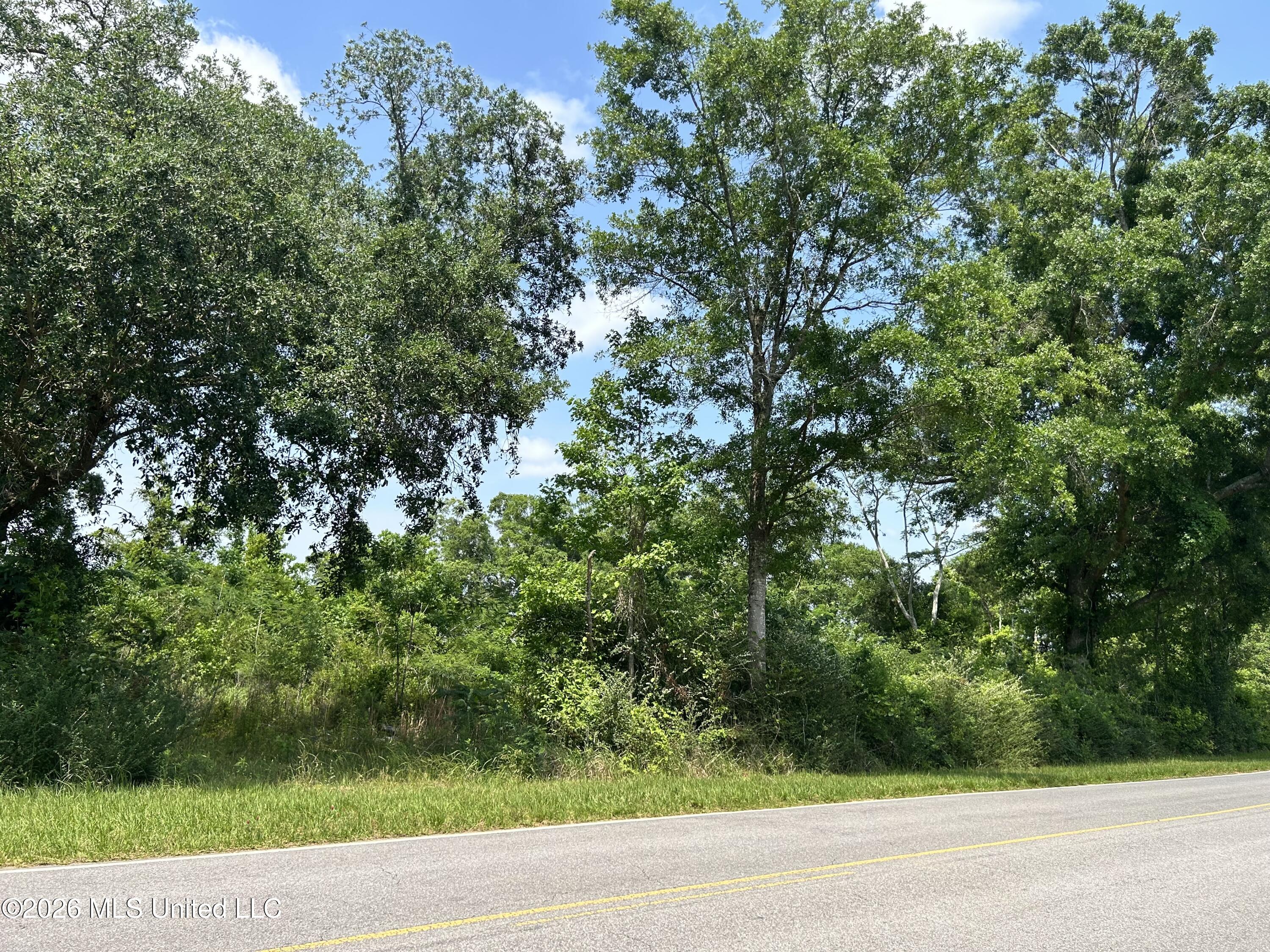Basin School Road Lucedale, MS 39452 - Photo 13 of 15 IMG_0357
