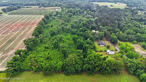 $210,000 | Basin School Road, Lucedale, MS 39452