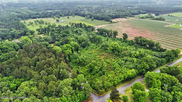 $210,000 | Basin School Road, Lucedale, MS 39452