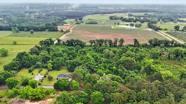$210,000 | Basin School Road, Lucedale, MS 39452